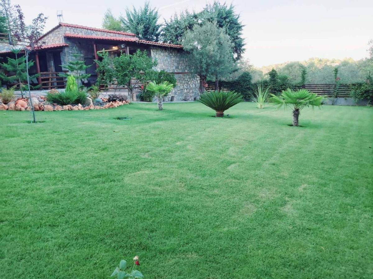 Dimitris Villas - Villa 4 Ormos Panagias Extérieur photo